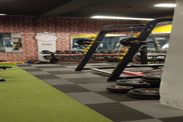 Iron mania gym