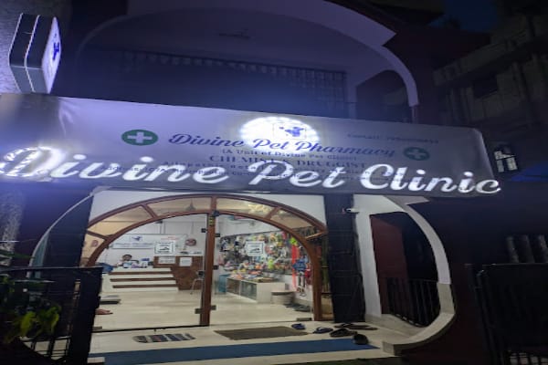 Divine Pet Clinic