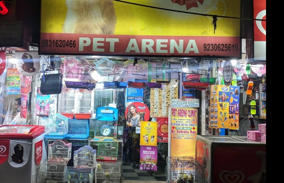 Pet Arena