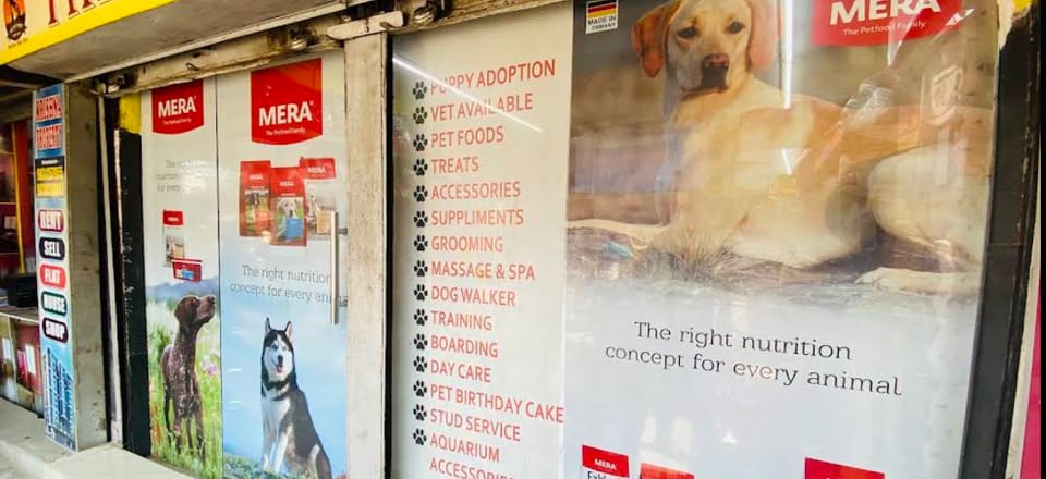 THE PET POINT KOLKATA | Best Pet Shop in Kestopur |
