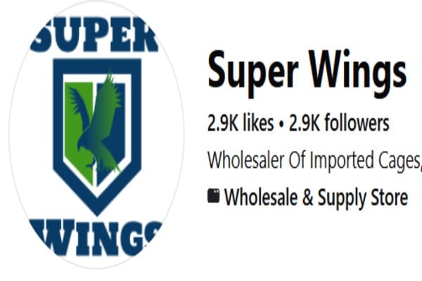 Super Wings Pet Shop