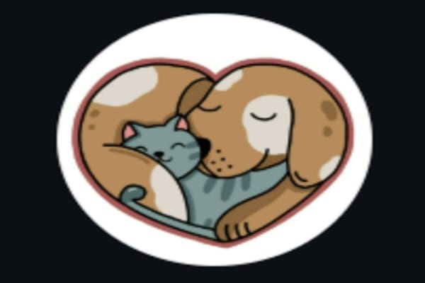 The Paw Story