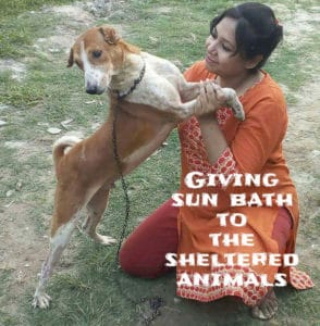 Love N Care for Animals