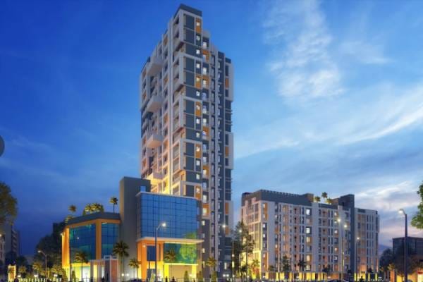 Construction & Real Estate