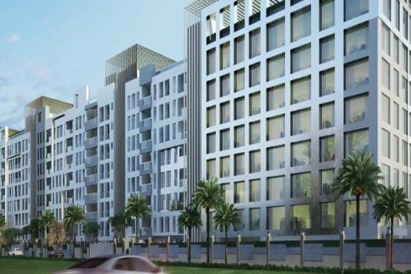 Construction & Real Estate