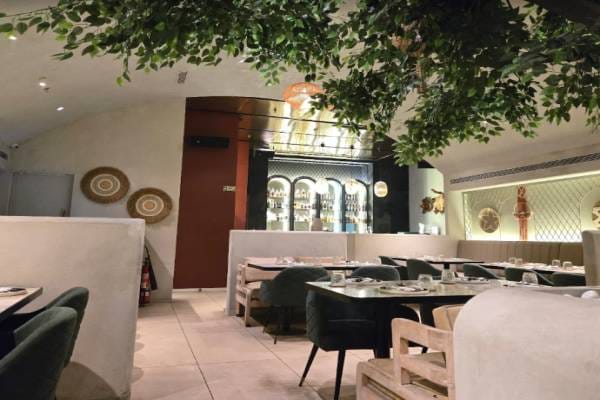 Food & Restaurant