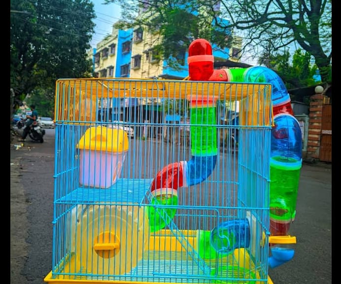 SD PET SHOP Kolkata