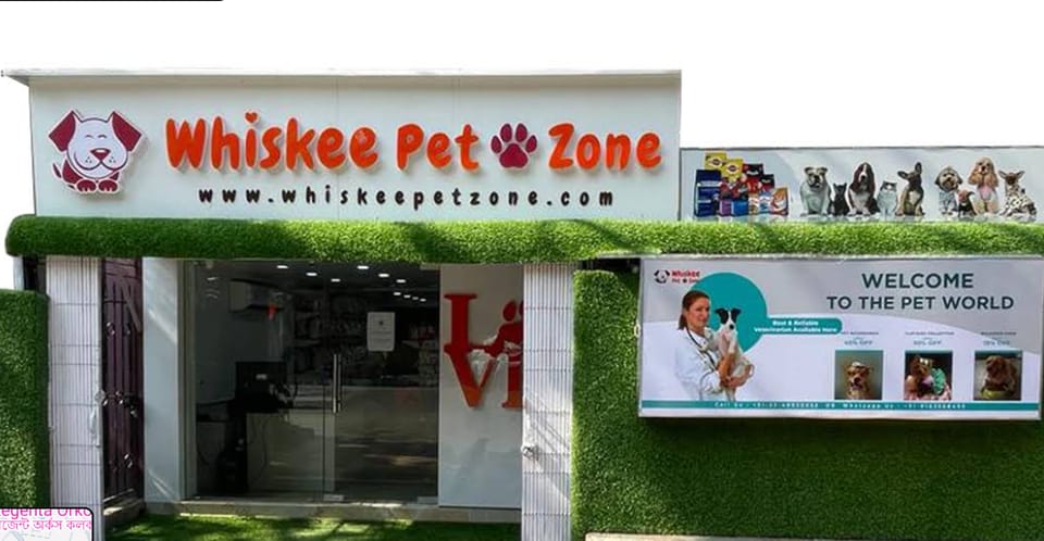 Whiskee Pet Zone