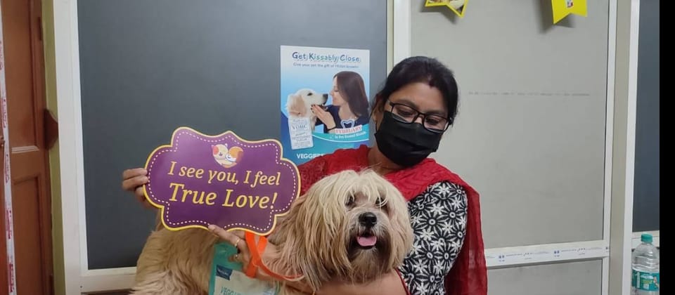 PGPET TRADING CO. | Pet Shop in Baguiati | Best Pet Shop in Baguiati