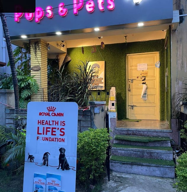 Pups and Pets | Pet Grooming | Premium Pet Products | Pet Clinic in Salt Lake | Pet Shop in Salt Lake