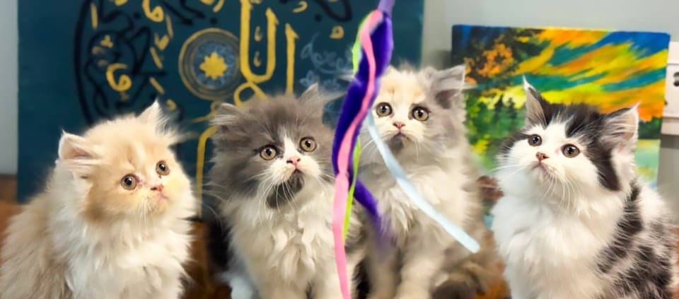 Pets Avi & Soni