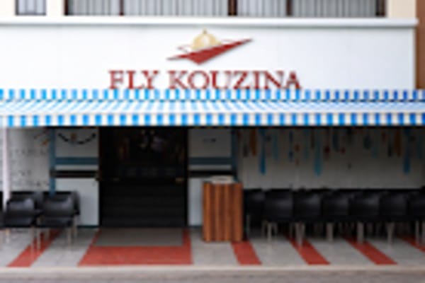 Fly kouzina