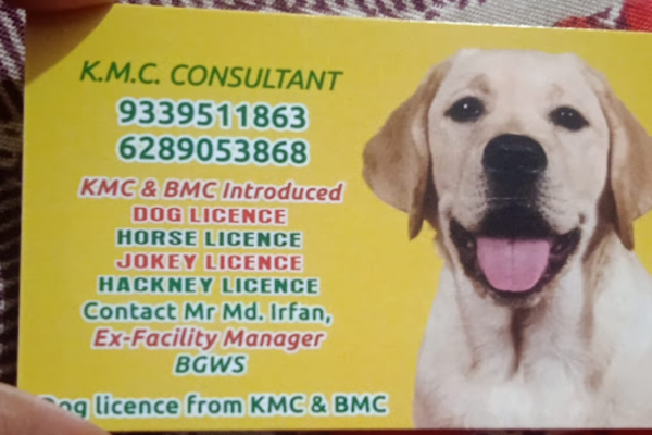 KMC Consultancy Services