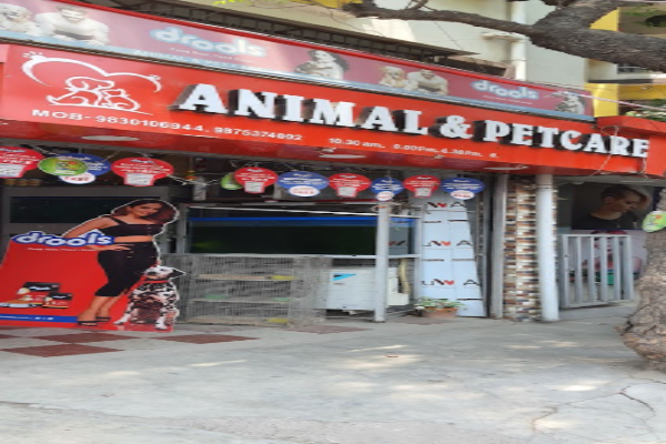 Animal & Pet Care