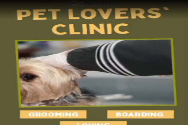 Pet Lovers Clinic