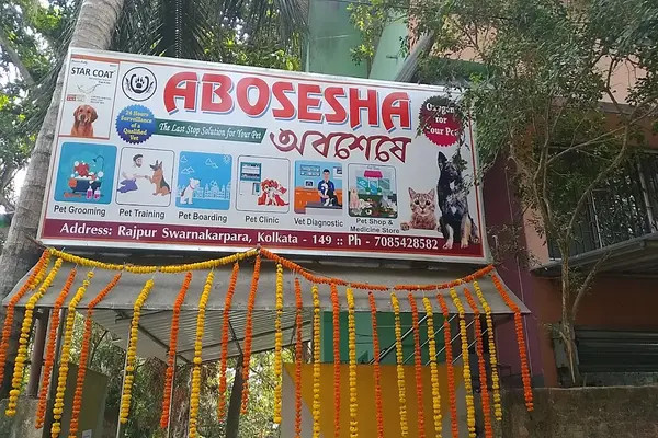 Abosesha (Pet Clinic)