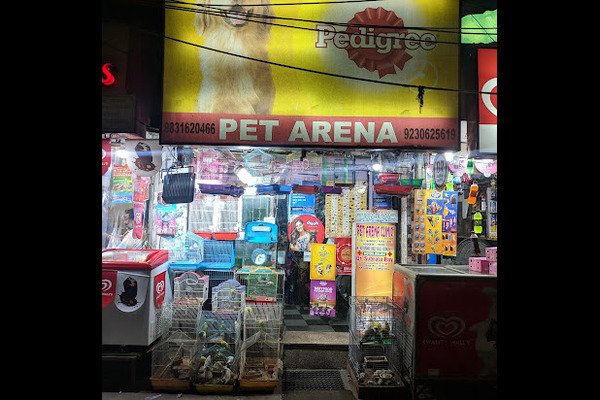 Pet Arena