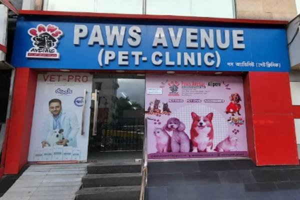 Pet & Animal