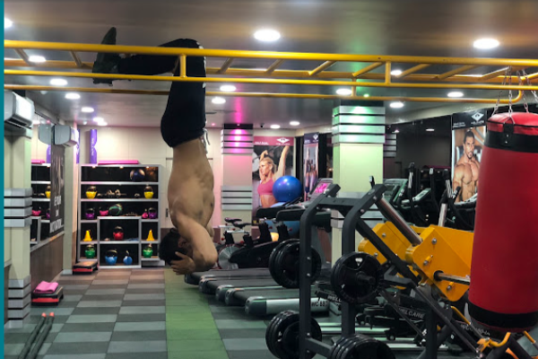 M.S Fitness Gym