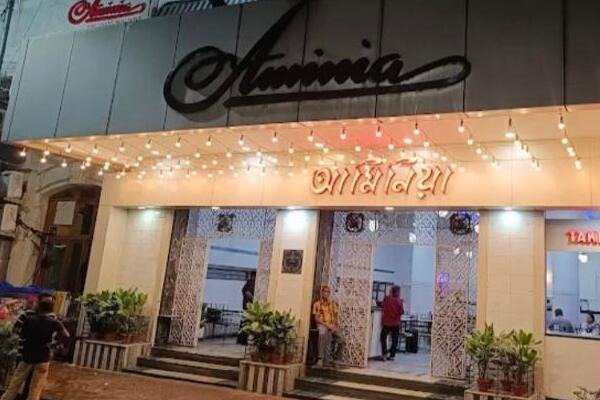 aminia (new market)